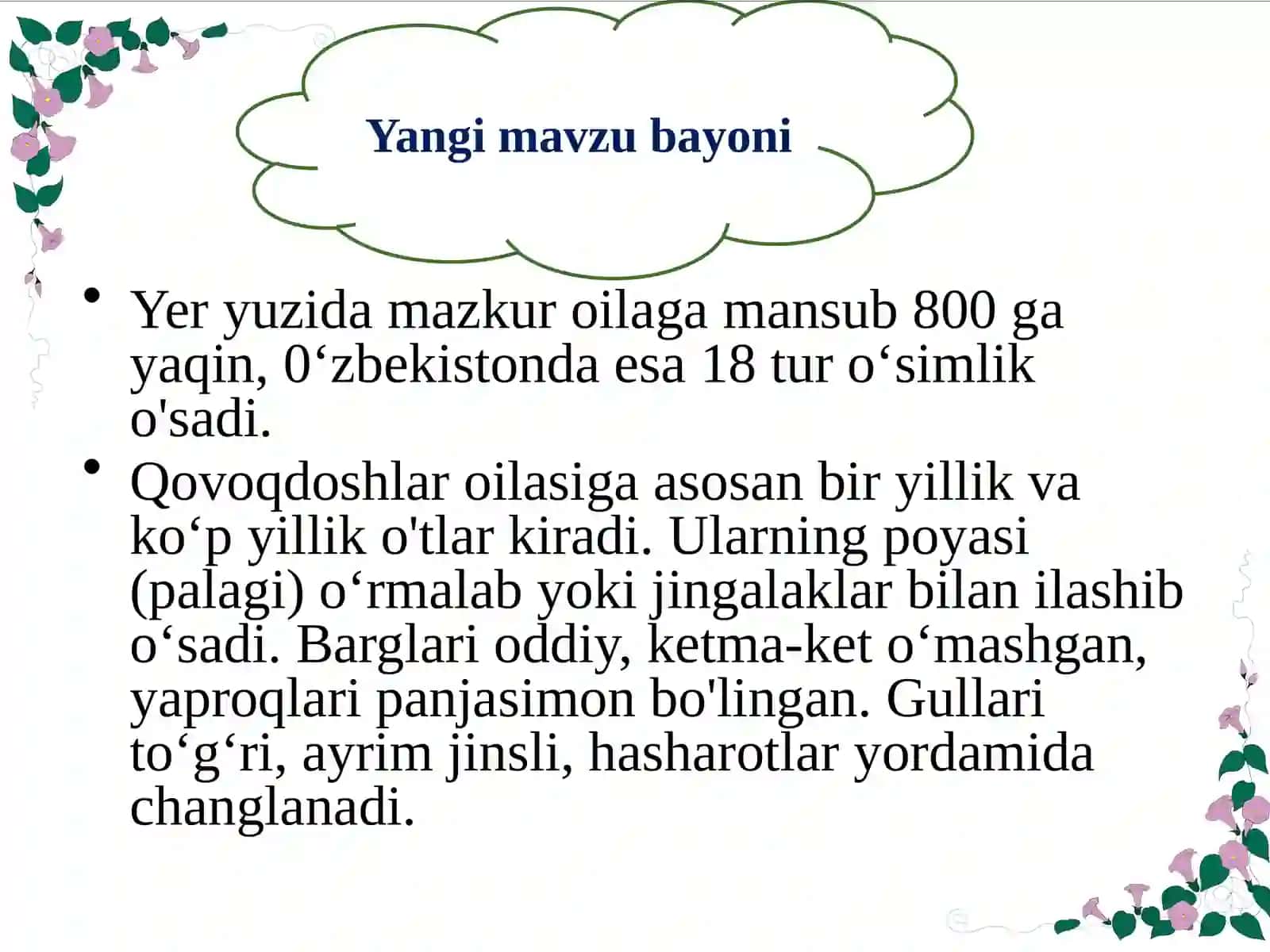 Qovoqdoshlar oilasi 3
