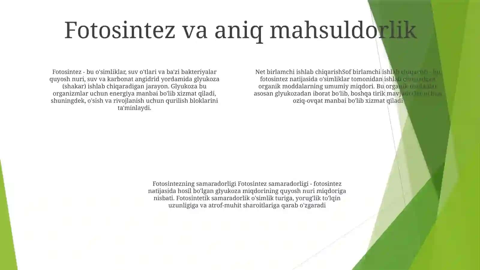 Sof Fotosintez 3