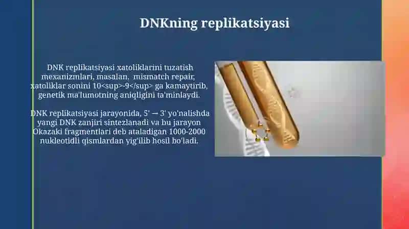 RNK va DNK lar tuzilishi 3