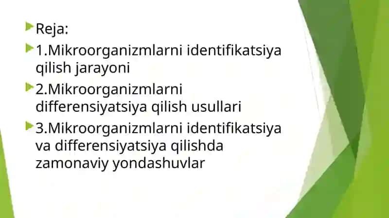 Mikroorganizmlarning indentifikatsiyasi va differensiyatsiyasi 3