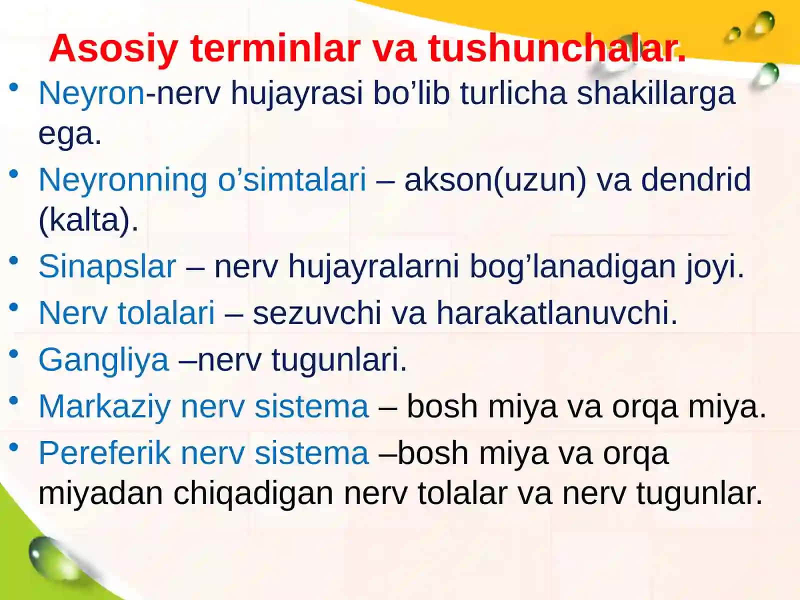 Neyron va nerv tolalarining yoshga bogliq xususiyatlari.chi 3