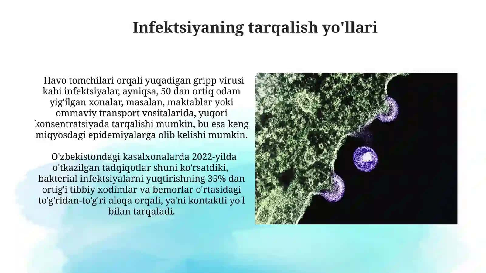 Kasallik qõzg'atuvchi mikroorganizmlar, infeksiya va uning turlari 3