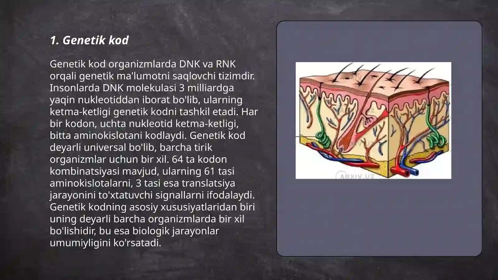 Genetik kod 3