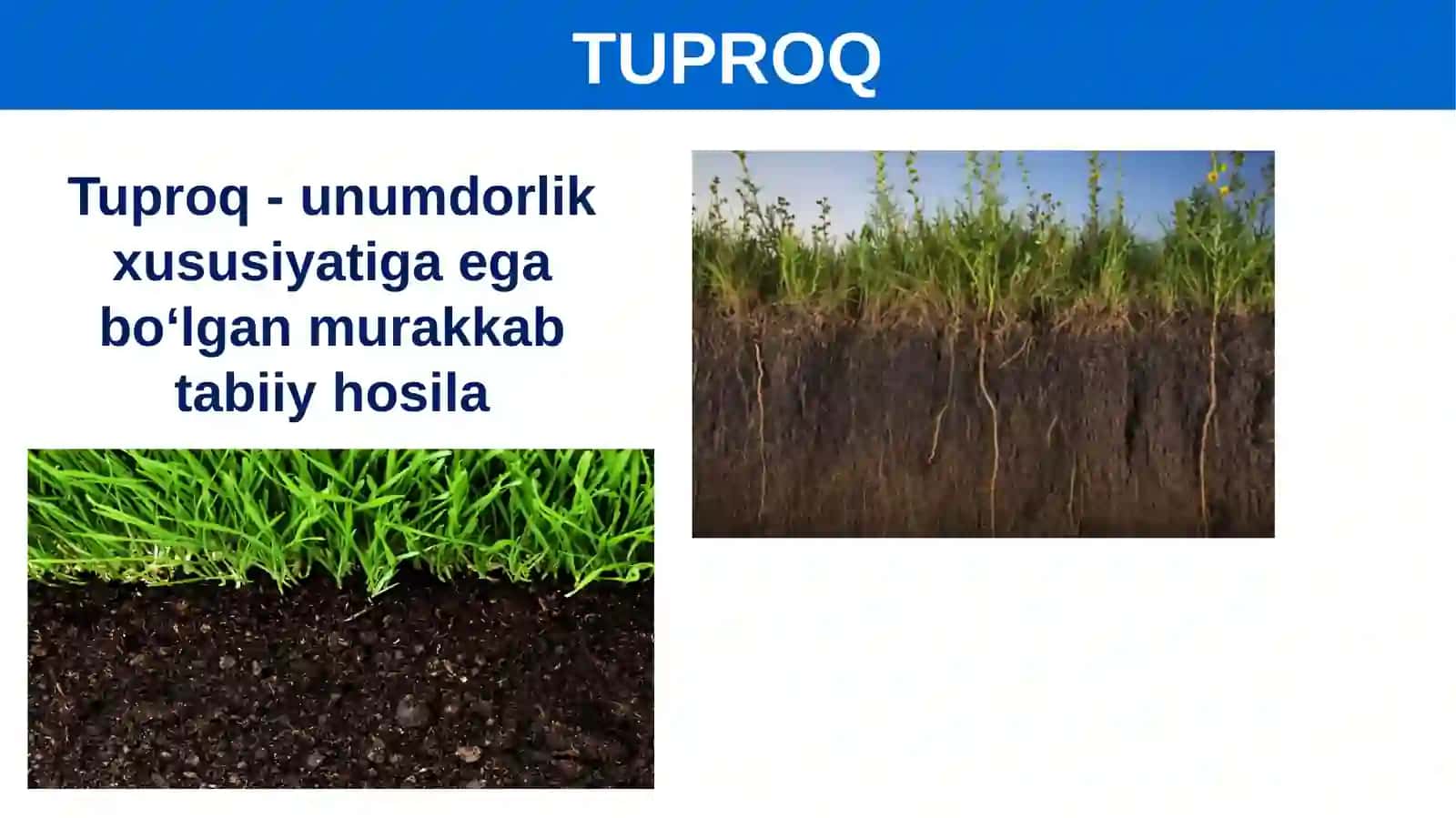 Tuproqning Ona Jinsi 3