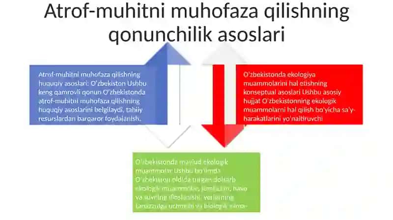 O'zbekistonda Ekologik Muammolarni Bartaraf Etishning Konseptual Asoslari 3