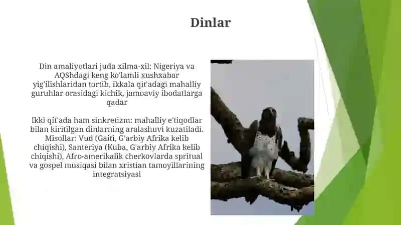AfrikavaAmerika qitasi ning oʻxwashliklari va farqlari 3
