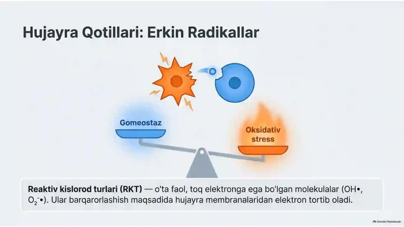Lipidlarning peroksidlanishi va hujayra shikastlanishi — 15 slayd 3