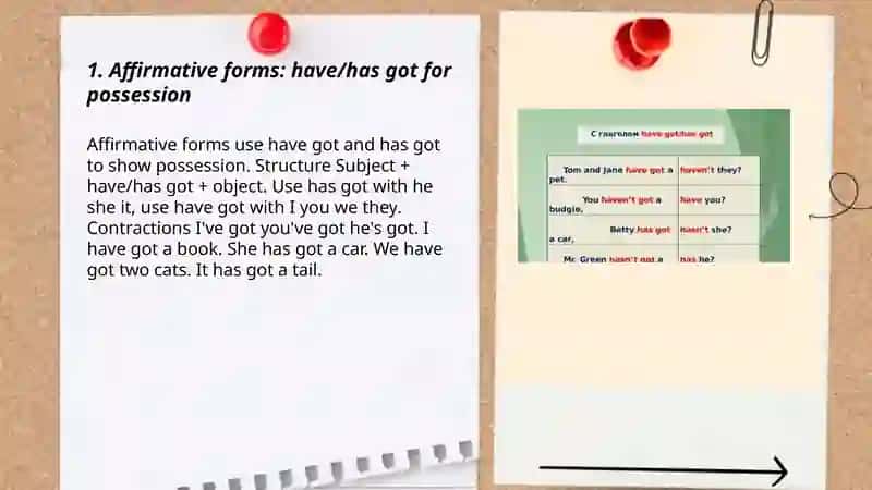 Have |has got 3