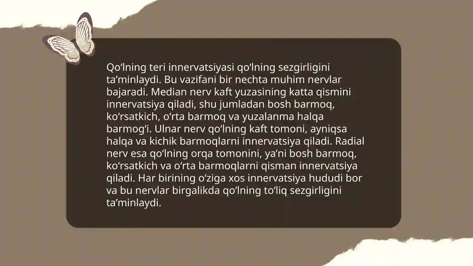 Qoʻl va oyoq terisining innervatsiyasi 3