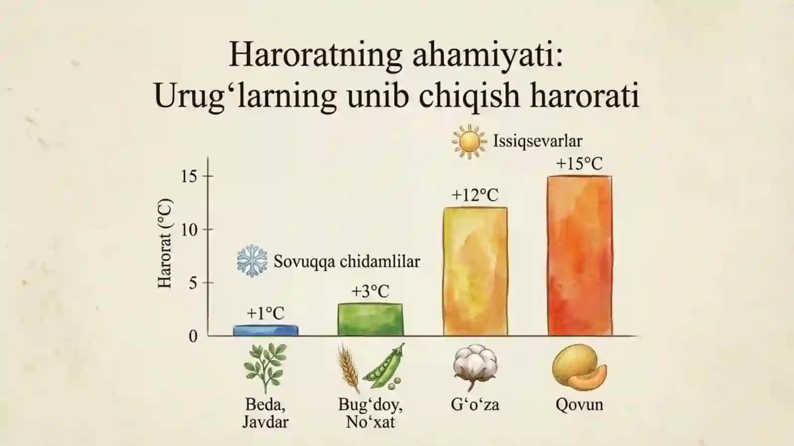 Urug'larning unib chiqishi 3