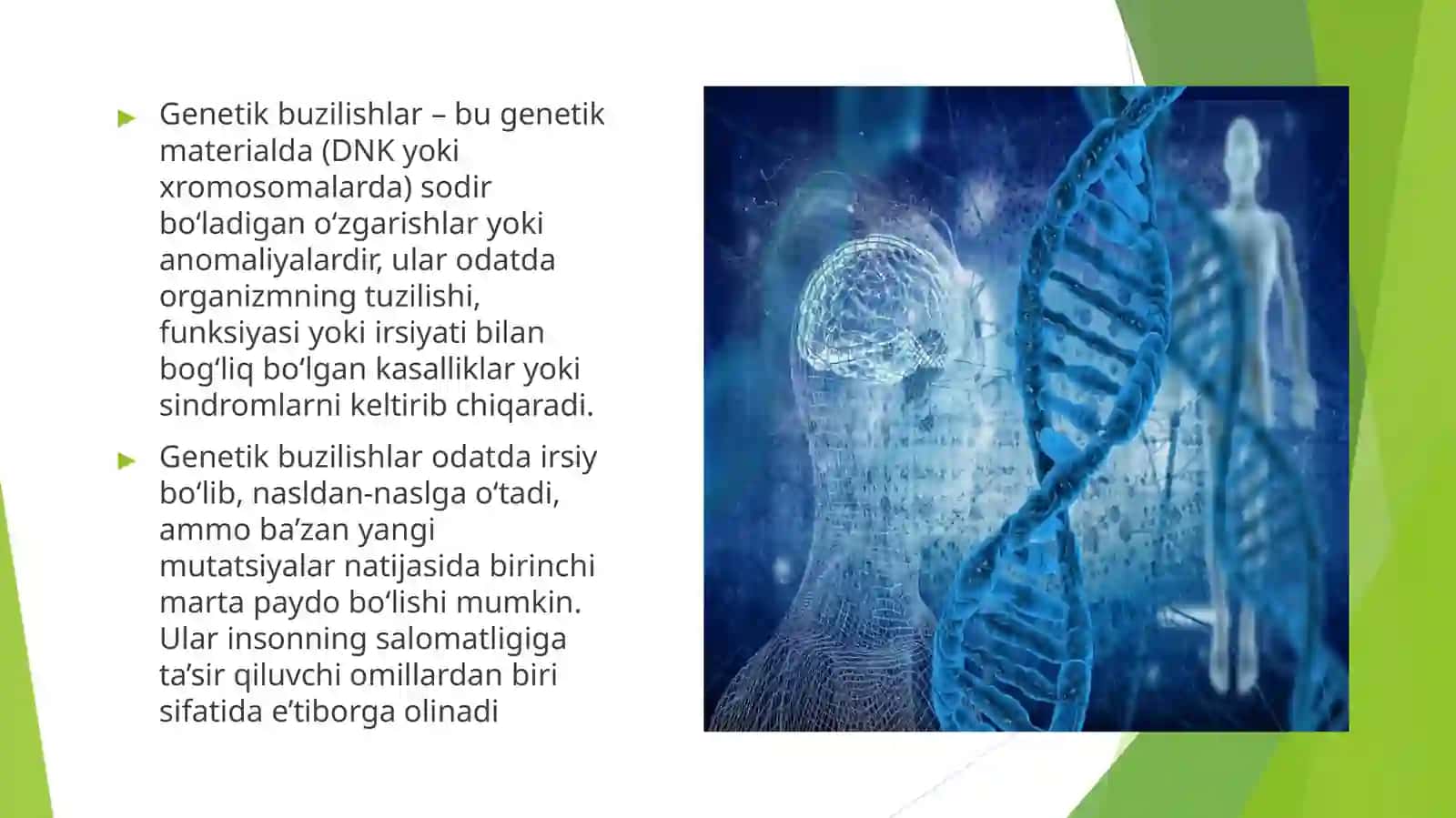 Patalogikanatomiyafani 3