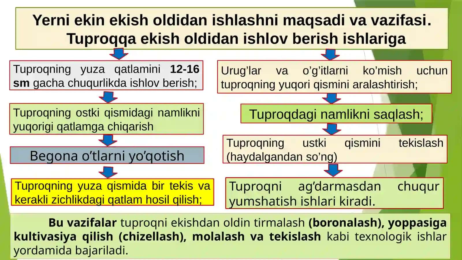"Organik dehqonchilik va o’rmon melioratsiyasi" i N.Mamadjonova 3