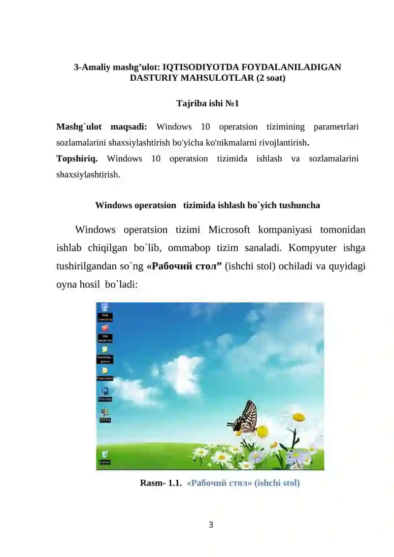 IQTISODIYOTDA FOYDALANILADIGAN DASTURIY MAHSULOTLAR 3