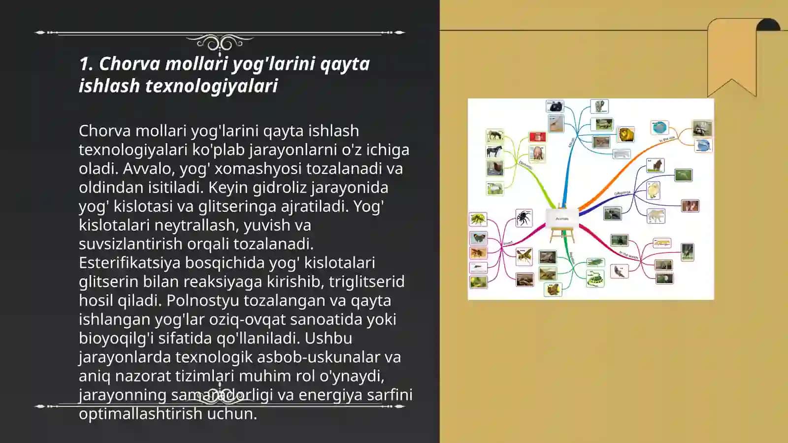 Chorva mollari yog'larini qayta ishlash texnologiyalari 3