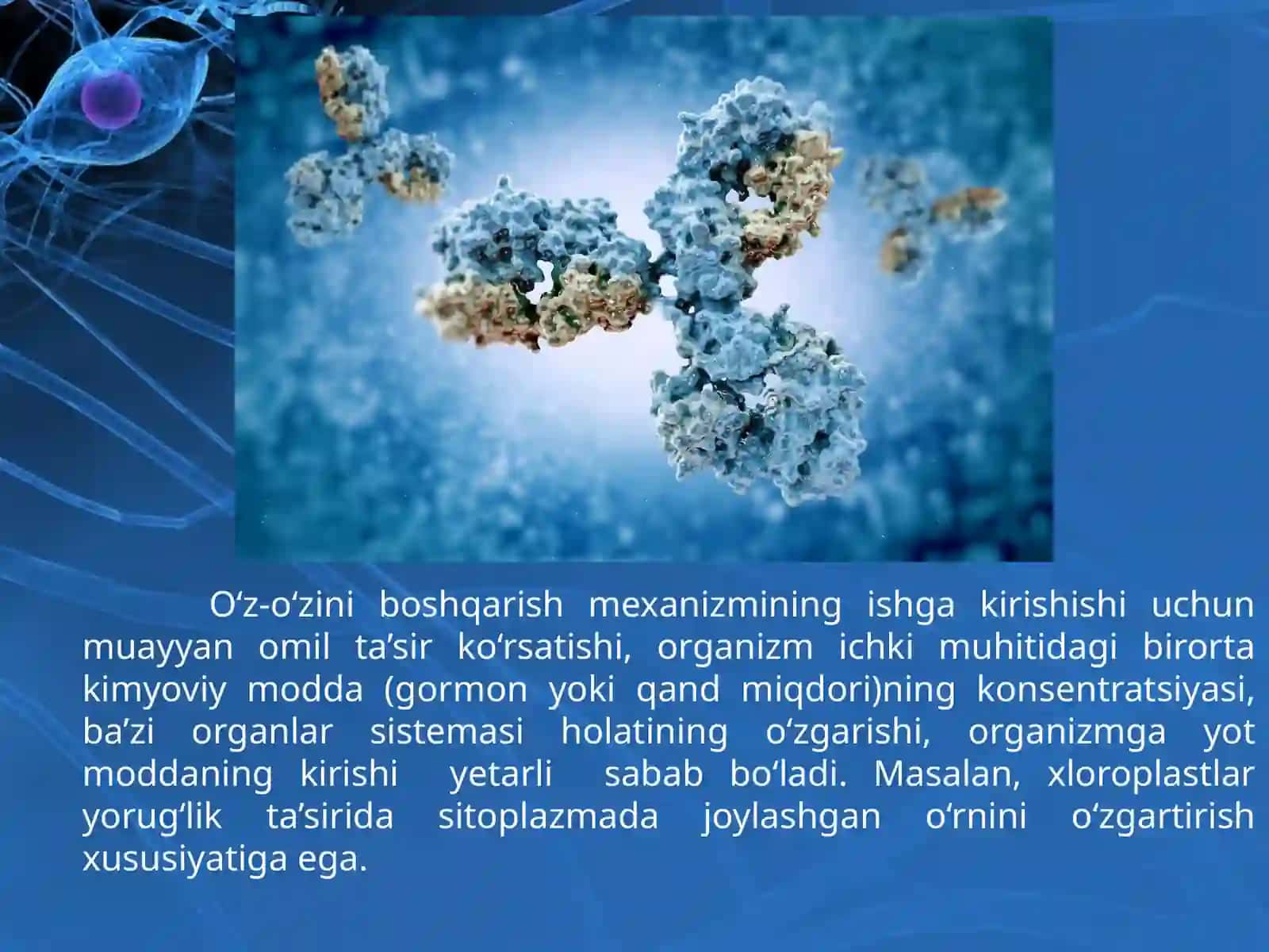 Tirik organizmlarning o‘z-o‘zini boshqarish organlari 3