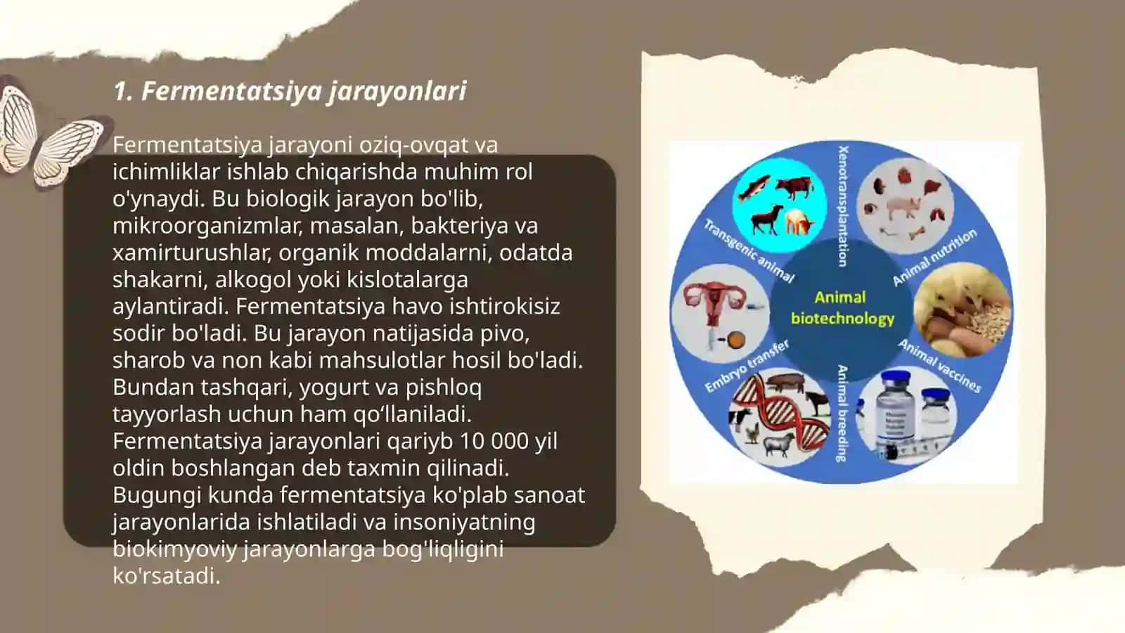 texnologik sxemalari 3