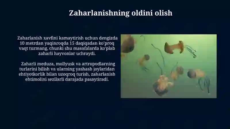 Zaharli meduzalar, molyuskalar va bo‘g‘imoyoqlilar 3