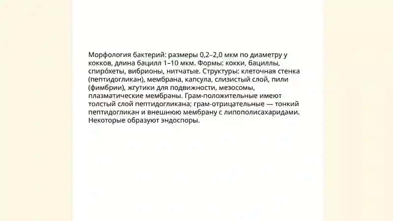 Бактерии 3