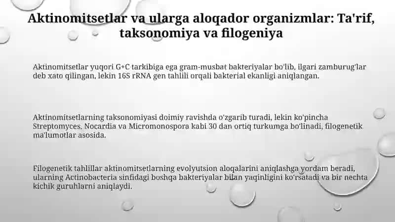 Aktinomitsetlar va ularga yaqin organizmlarni oʻrganish 3