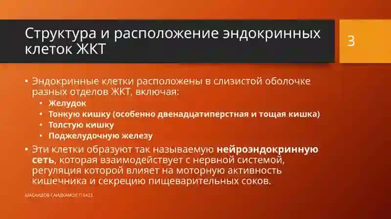 Эндокринные клетки ЖКТ 3