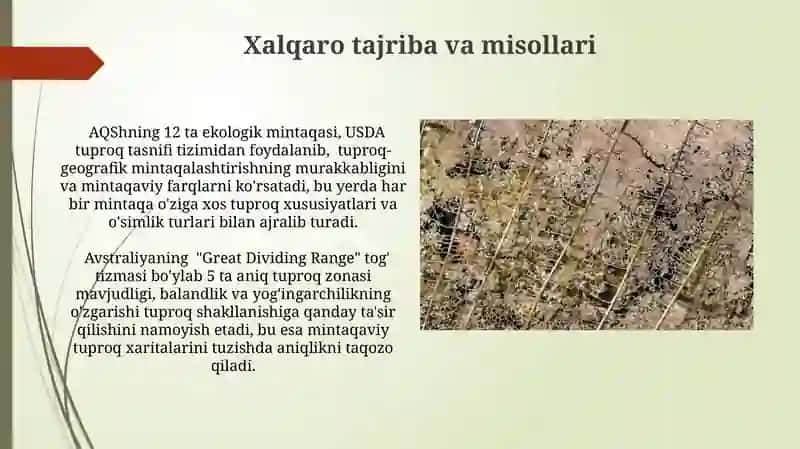 Tuproq-geografik rayonlashtirish 3