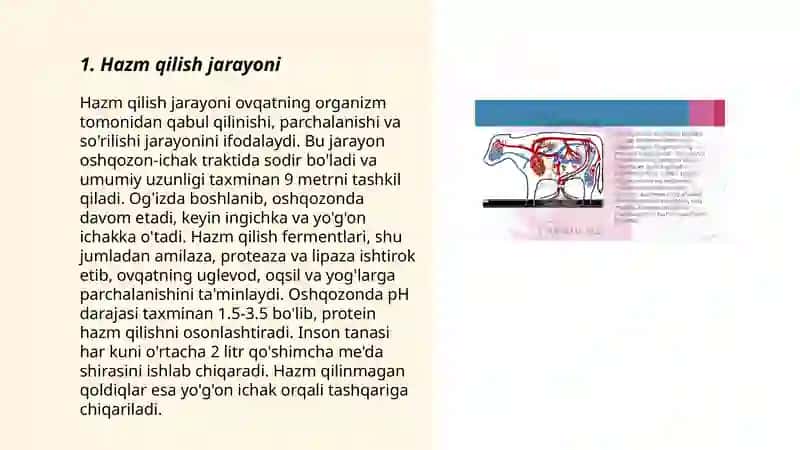 Hazim fizalogiyasi 3