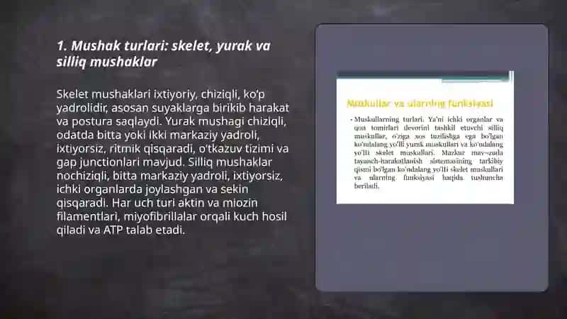 Muskul fiziologiyasi 3