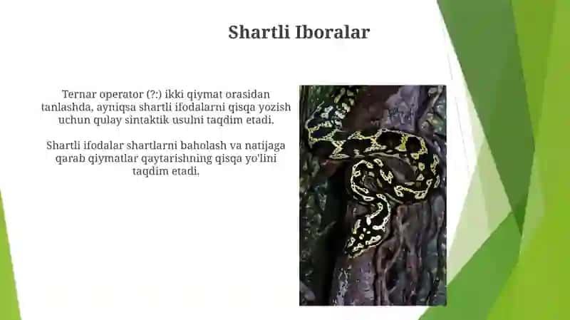 Python dasurlash tilida shart operatorlari 3