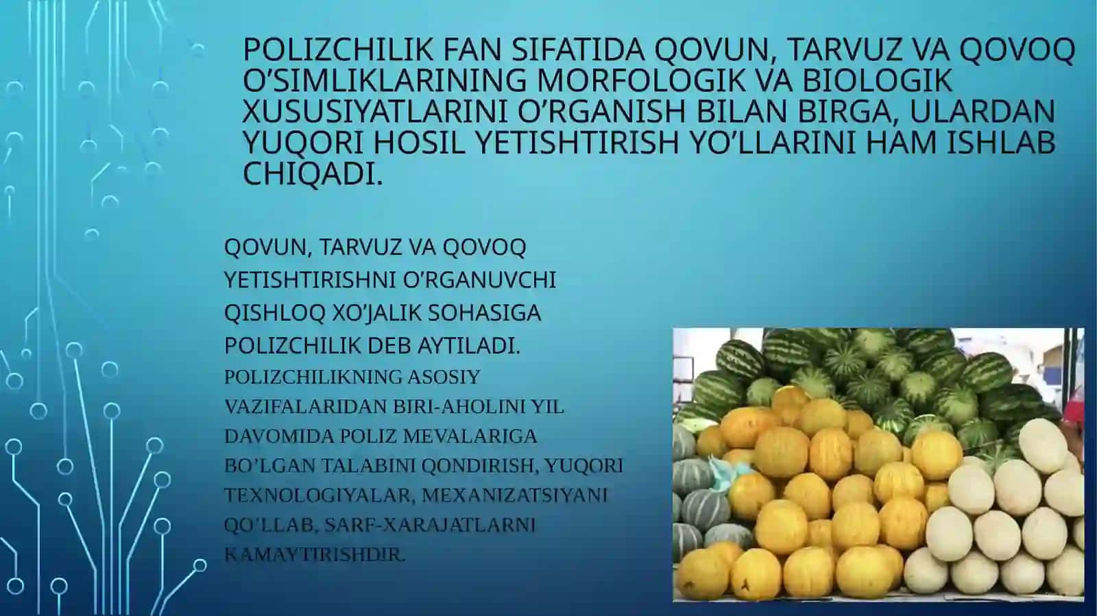 POLIZ EKINLARINING AHAMIYATI, ISHLATILISHI, TARQALISHI VA HOSILDORLIGI 3