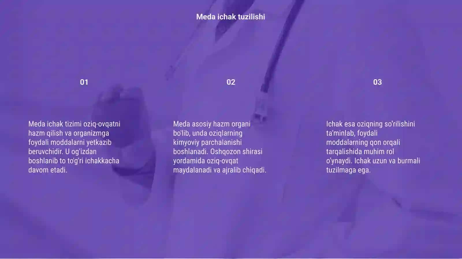 Meda ichak 3