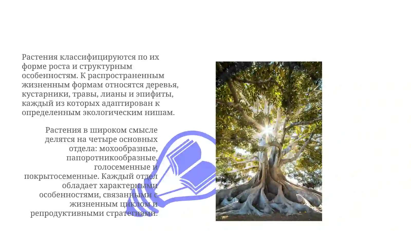 Основные отделы и жизненные формы растений 3