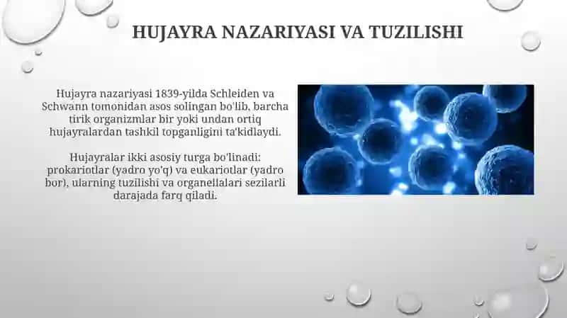 Hujayra bialogiyasi 3