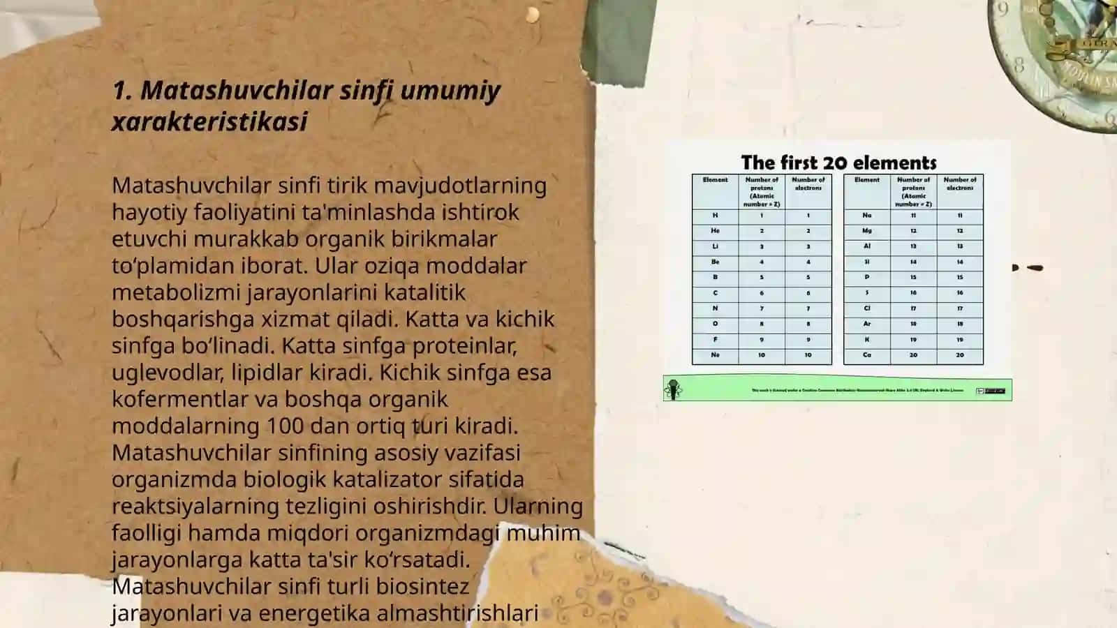 Matashuvchilar sinfi xarakterli belgilari taʼsnifi 3