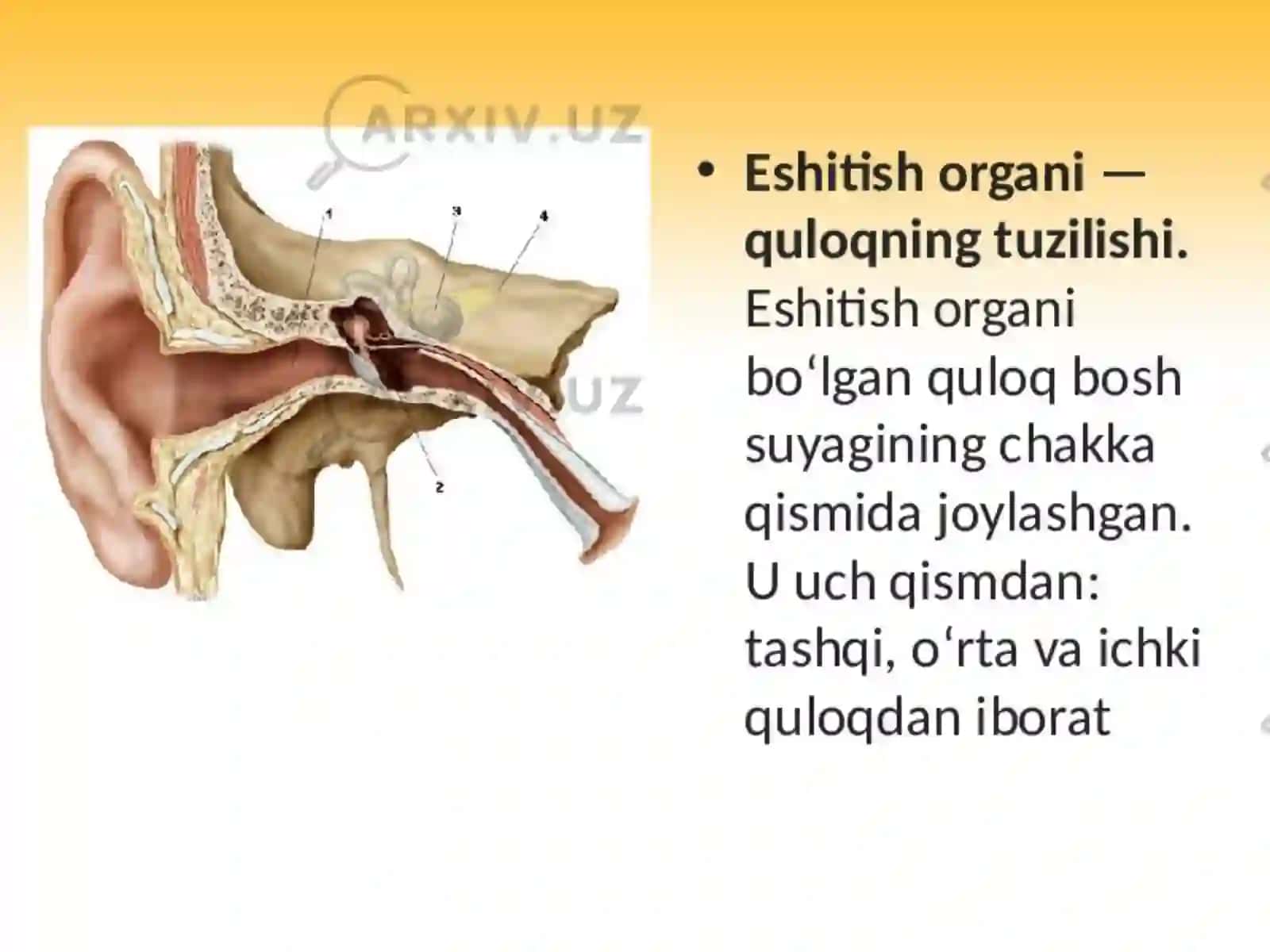 ESHITISHNING PASAYISHI 3