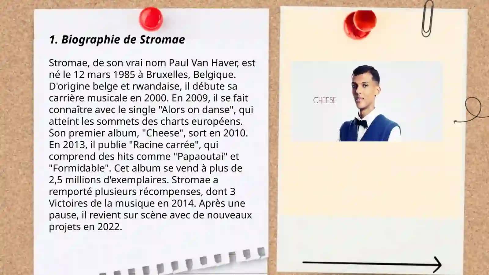 Biographie de Stromae 3