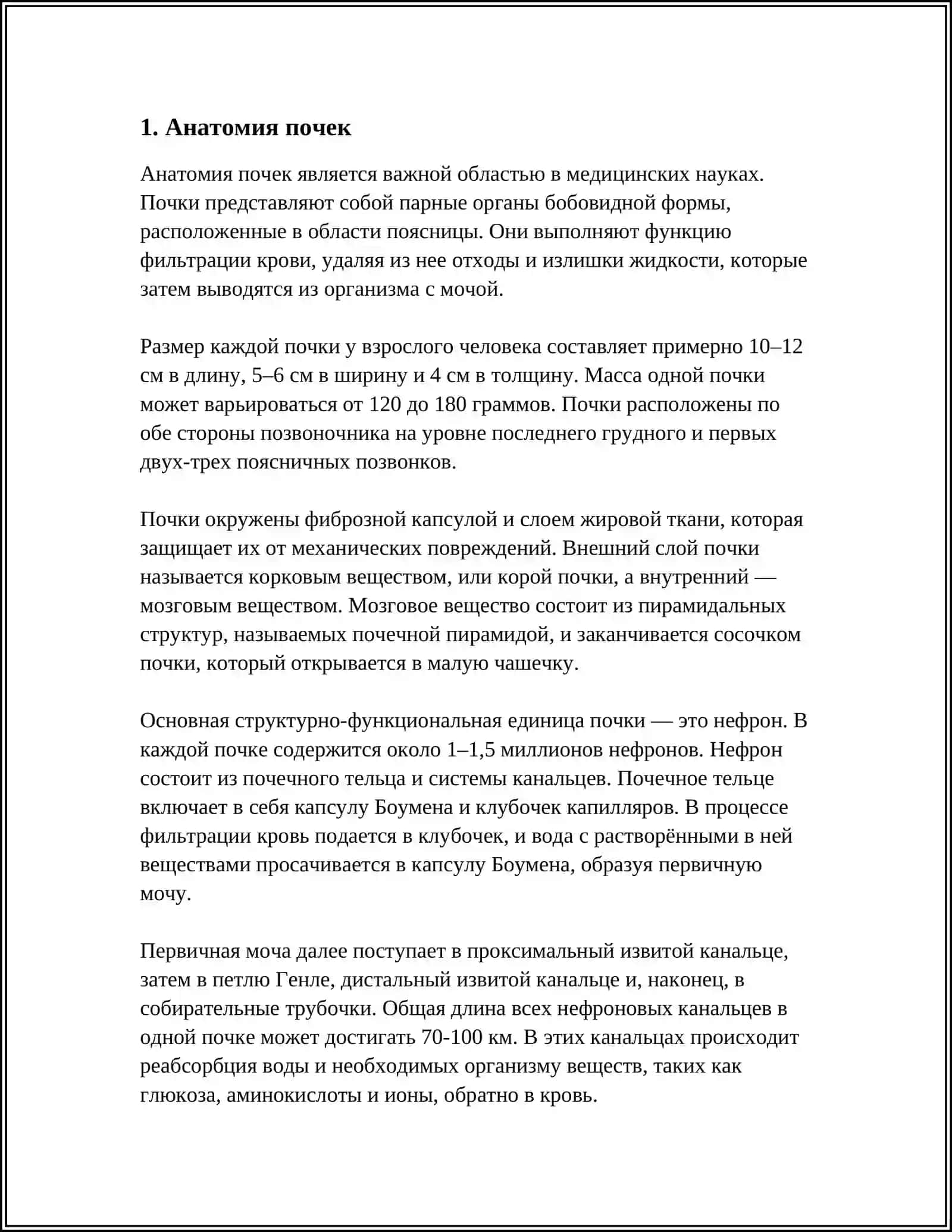 ПОЧКИ 3