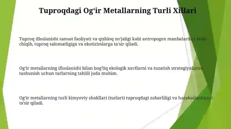 Ogʻir metallarning ifloslanishi bilan bogʻliq ekologik xavflarni va tuzatish strategiyalari 3