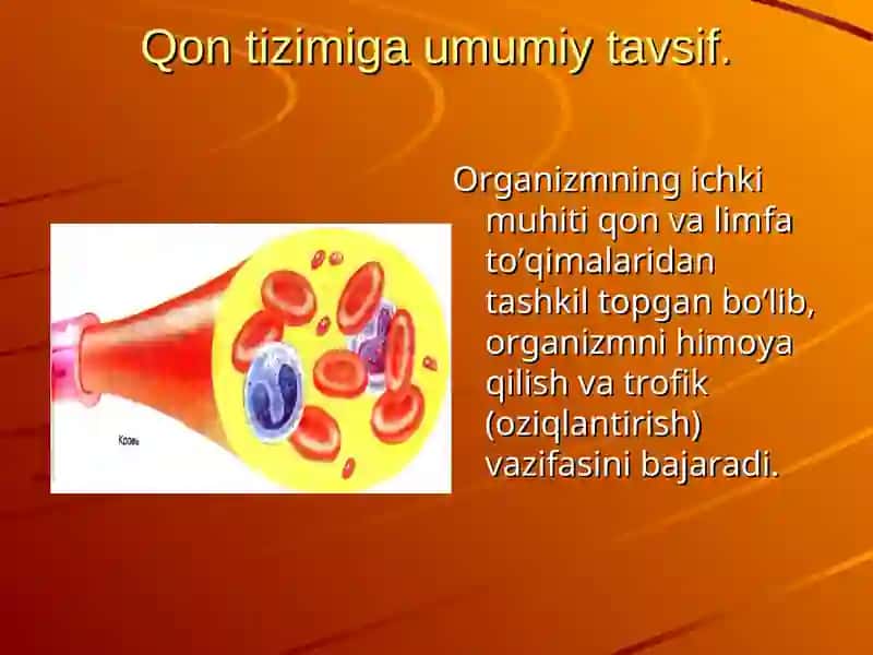 Qon va uning tarkibi 3