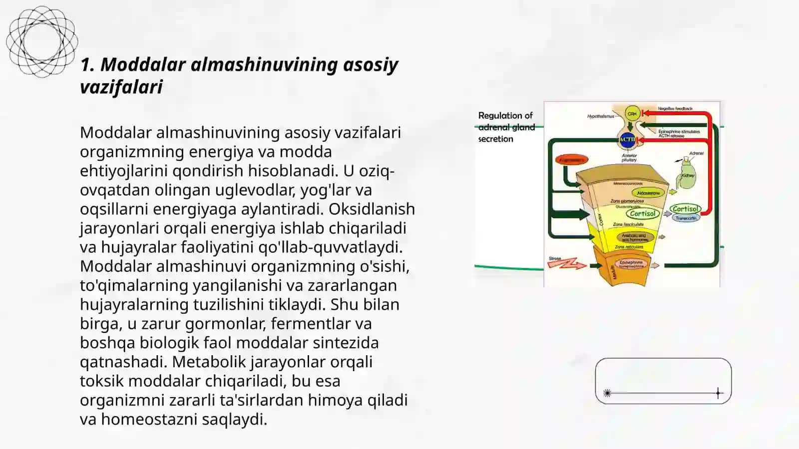 Moddalar almashinuvi boshqarilishi pereferik bezlar funksiyalari va ularni buzilishlari 3