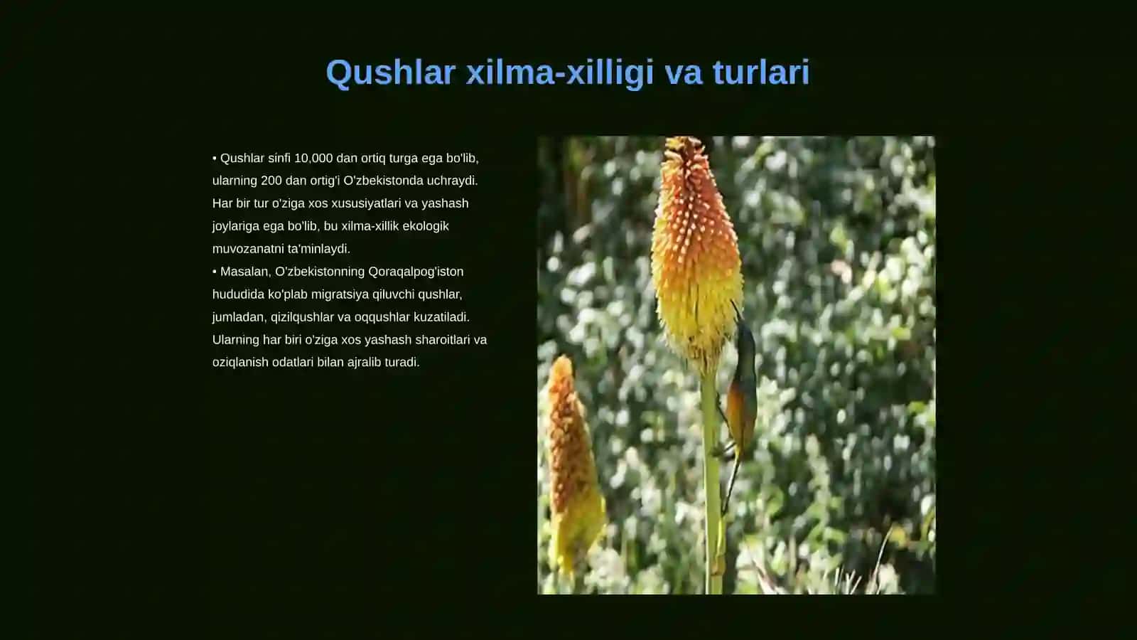 Qushlar sinfining ekologiyasi 3