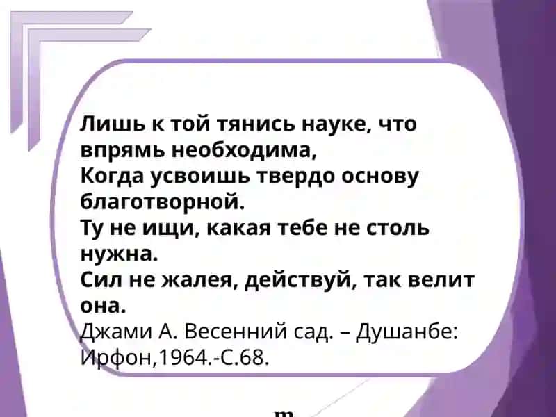 Воспитание и школа в Мовароуннахре 3