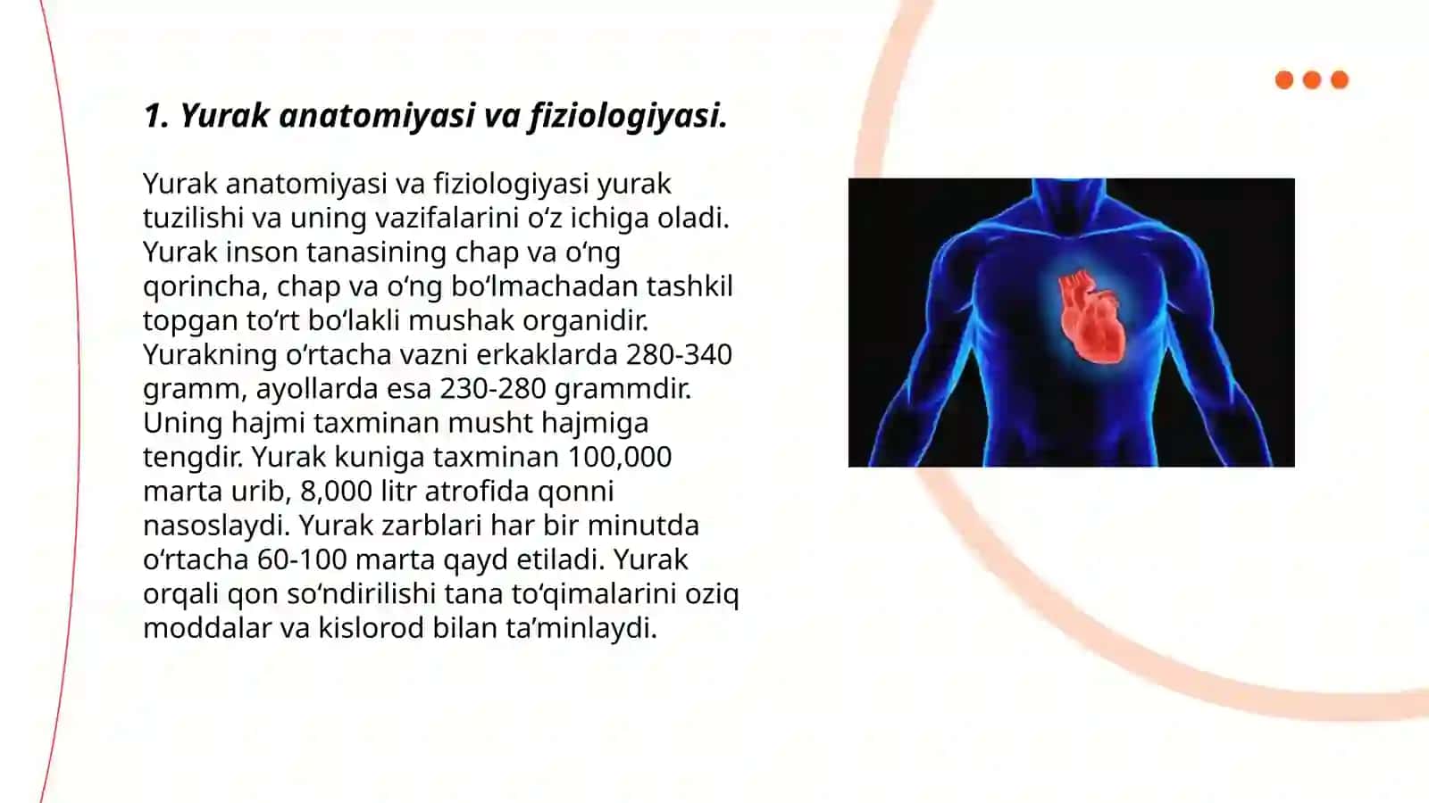 Yurak anatomiyasi va fiziologiyasi 3