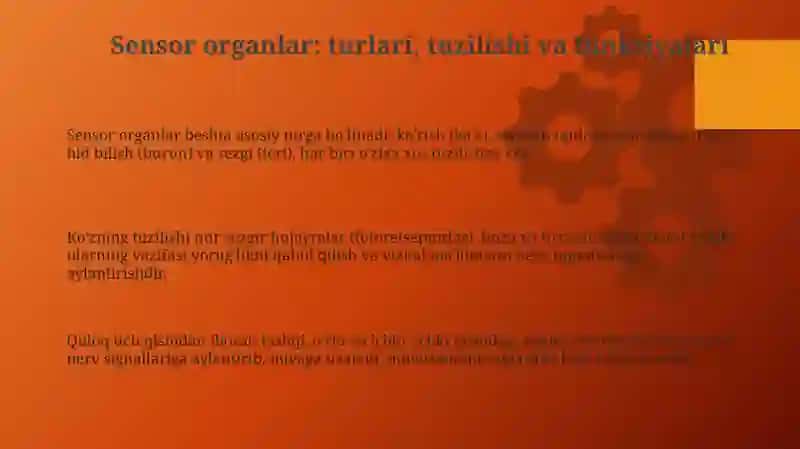 Sensor organlar tuzilishi va funksiyalari 3