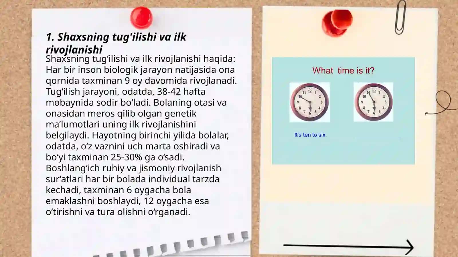 Shaxs taraqqiyotini davrlarga bo'lish 3