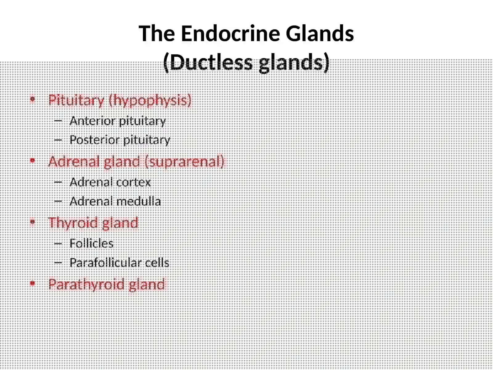Endocrine glands histology 3