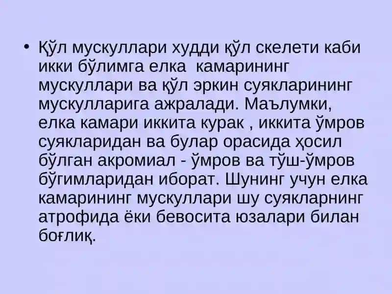 Елка камари ва эркинқўл мускуллари 3