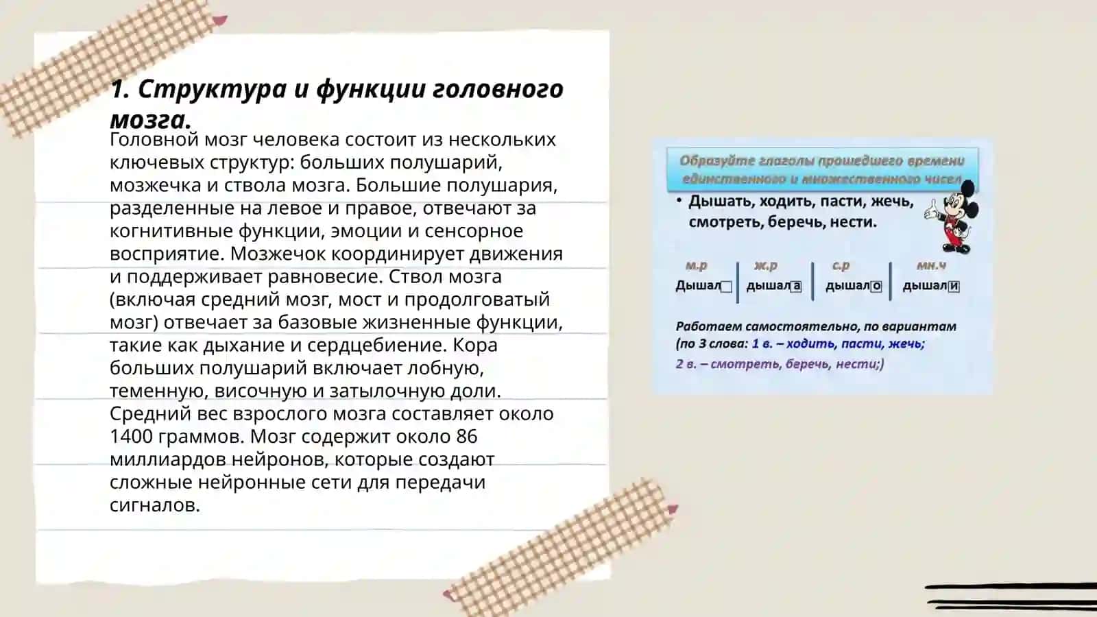 Лексическая тема. Головной мозг 3