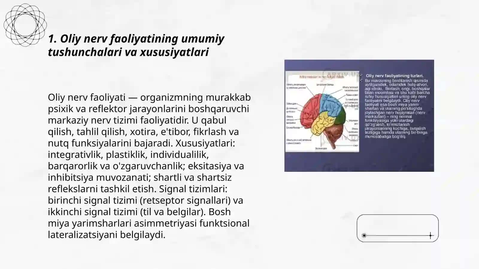 Oliy nerv faoliyatining tiplari va signal tizimlari 3