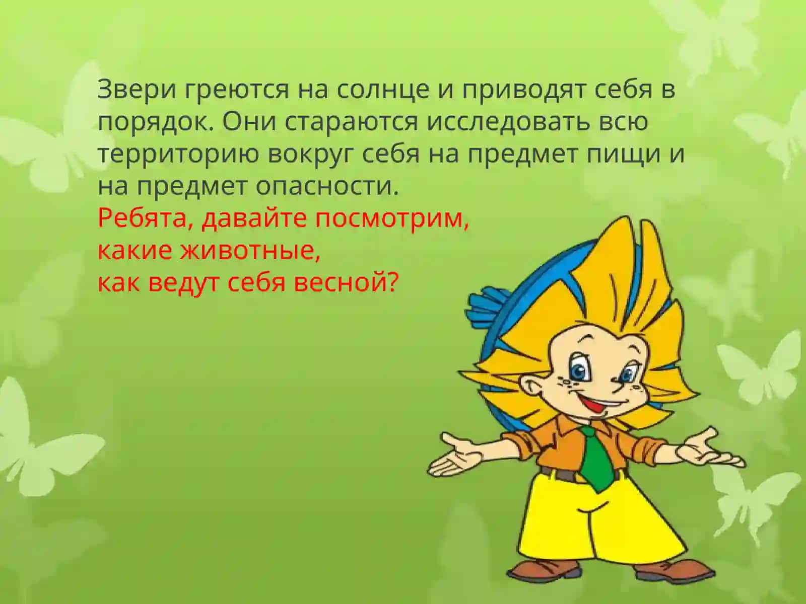 ЖИВОТНЫЕ ВЕСНОЙ 3