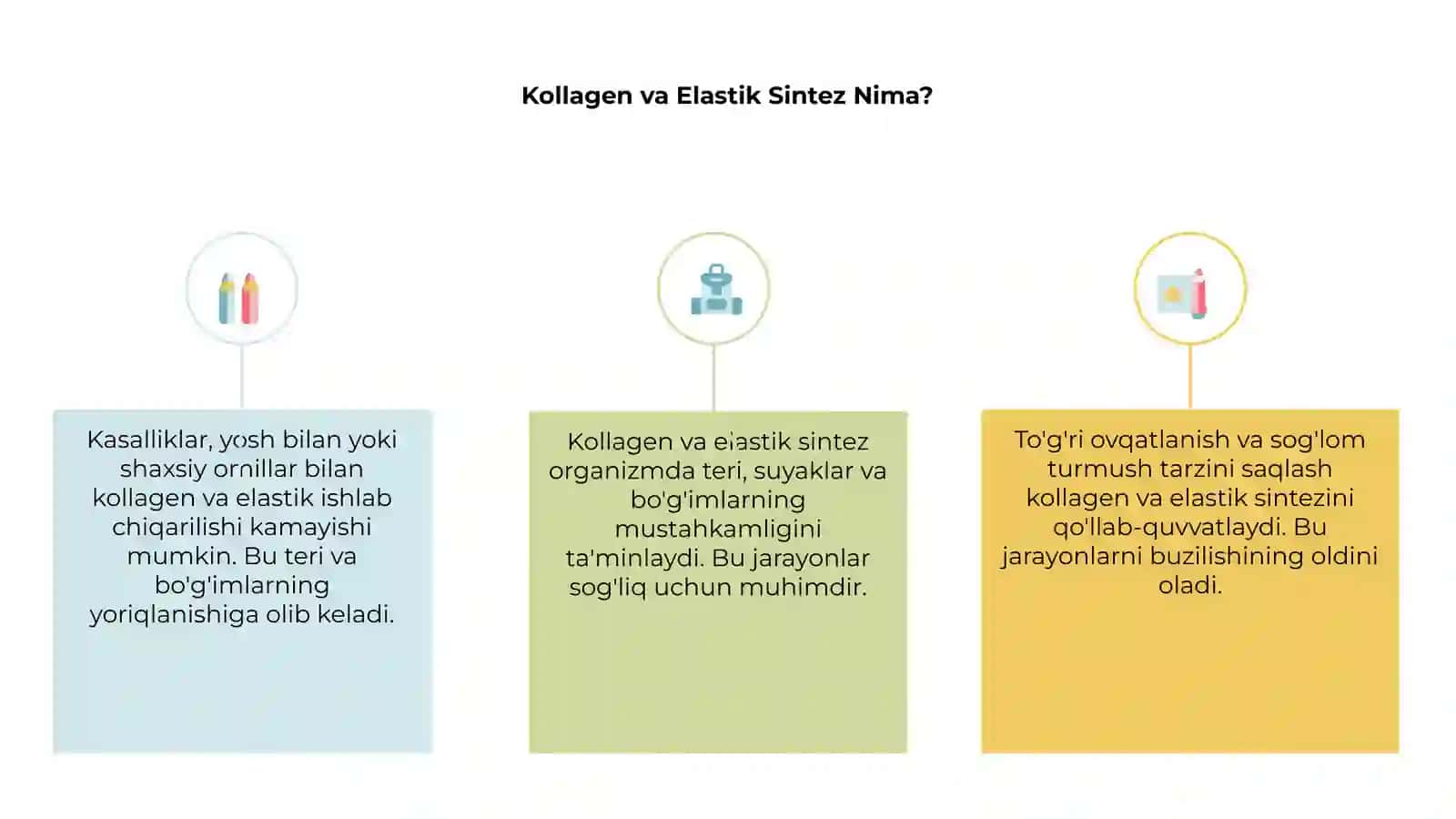 Kollagen va elastik sintez 3